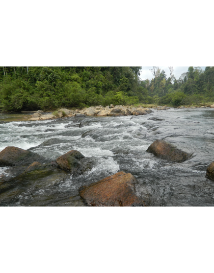 KUALA TAHAN NATIONAL PARK 3D2N