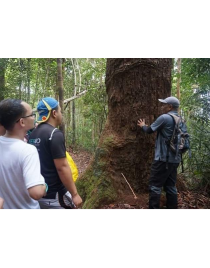 KUALA TAHAN NATIONAL PARK 3D2N