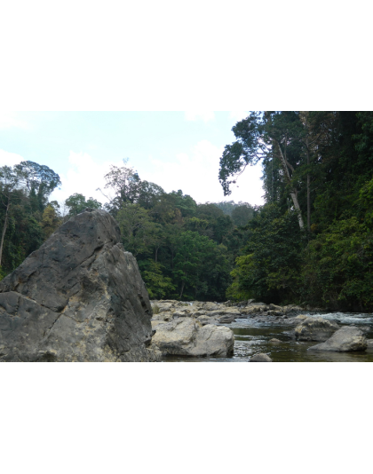 GEMS OF EAST COAST -KUANTAN, KOTA BHARU, KUALA TERENGGANU AND NATIONAL PARK 7D6N