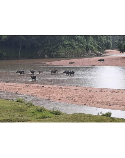 GEMS OF EAST COAST -KUANTAN, KOTA BHARU, KUALA TERENGGANU AND NATIONAL PARK 7D6N 