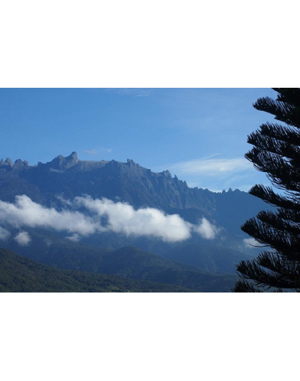 SABAH KOTA KINABALU - KUNDASANG - MANUKAN AND MAMUTIK ISLAND 4D3N 