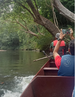 KUALA TAHAN NATIONAL PARK 3D2N